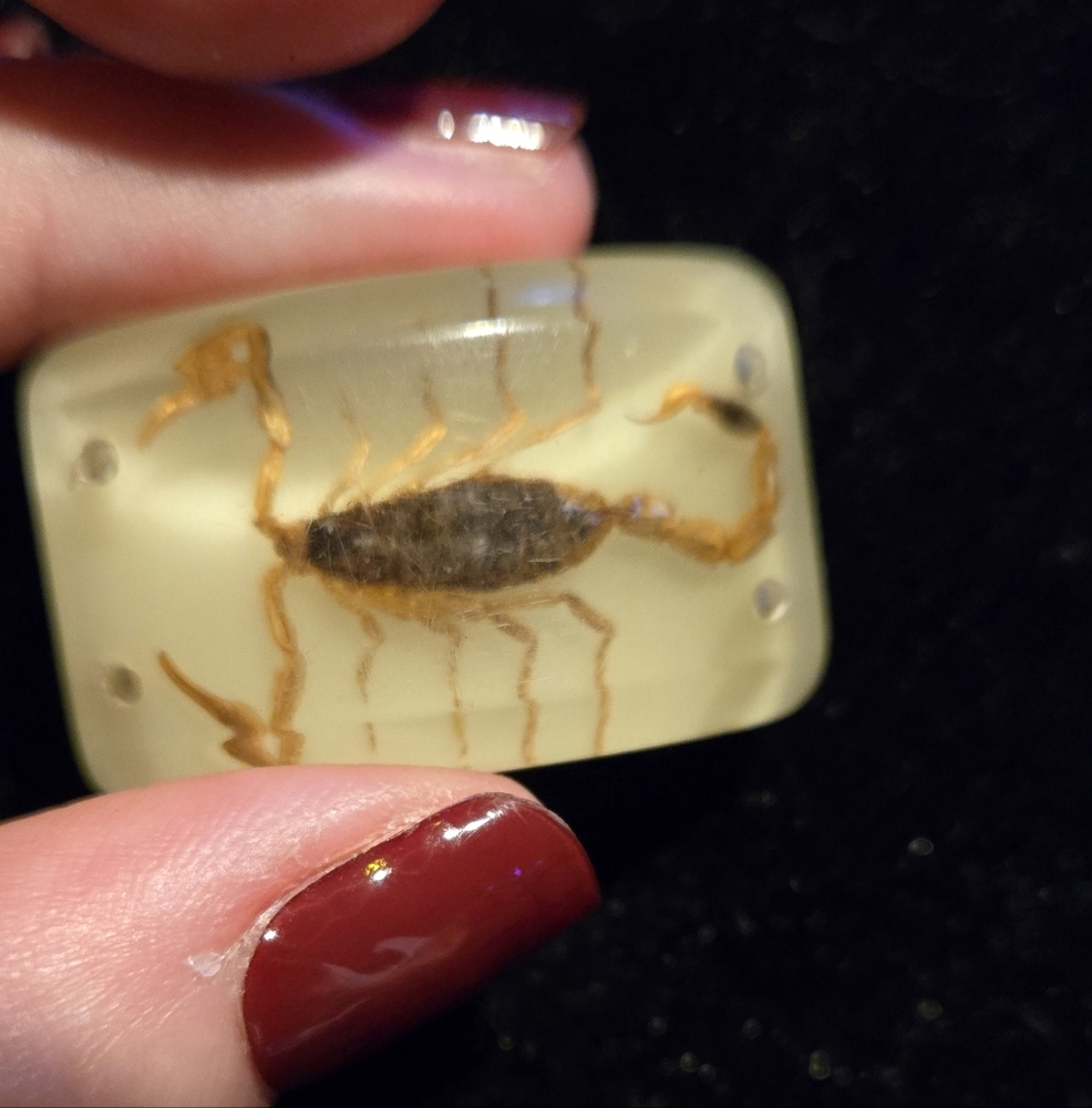 1920's Lucite Scorpion Bead For Bracelet Or Necklace